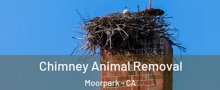  Chimney Animal Removal Moorpark - CA