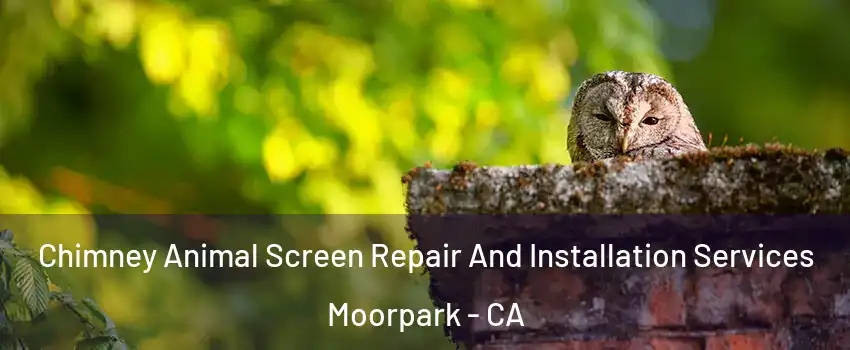  Chimney Animal Screen Repair And Installation Services Moorpark - CA