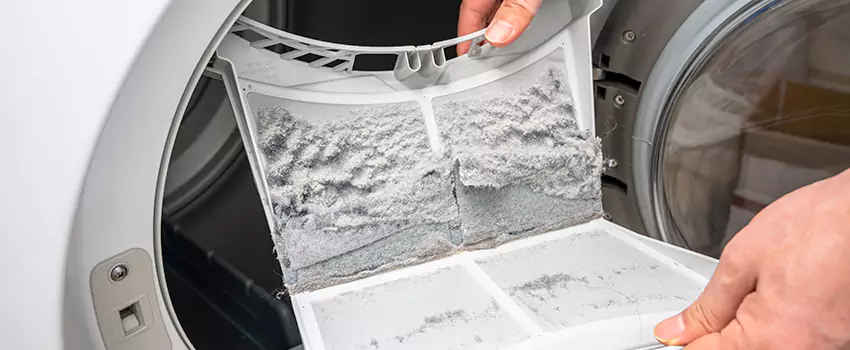 Best Dryer Lint Removal Company in Moorpark, California