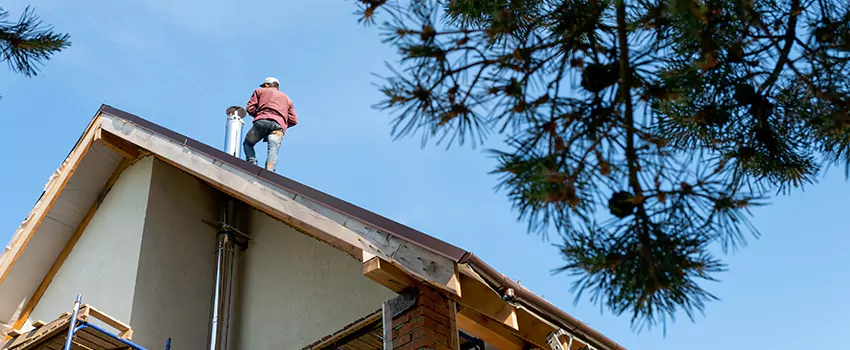 Birds Removal Contractors from Chimney in Moorpark, CA
