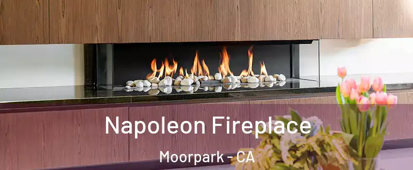  Napoleon Fireplace Moorpark - CA